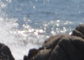 Anton Inn Pacific Grove Luaran gambar